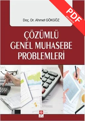 Çözümlü Genel Muhasebe Problemleri