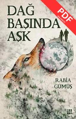 Dağ Başında Aşk kitap kapağı