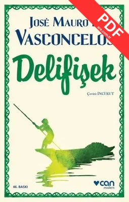 Delifişek kitap kapağı