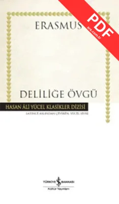 Deliliğe Övgü kitap kapağı