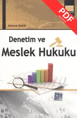 Denetim ve Meslek Hukuku kitap kapağı