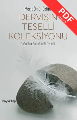 Dervişin Teselli Koleksiyonu kitap kapağı