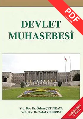 Devlet Muhasebesi kitap kapağı