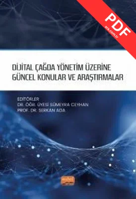 Dijital Çağda Yönetim Üzerine Güncel Konular ve Araştırmalar kitap kapağı