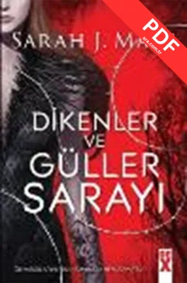 Dikenler Ve Güller Sarayı 1 kitap kapağı