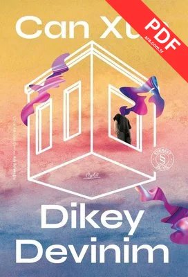 Dikey Devinim kitap kapağı