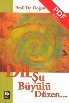 DilŞu Büyülü Düzen kitap kapağı