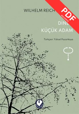 Dinle Küçük Adam kitap kapağı