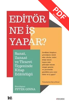 Editör Ne İş Yapar? kitap kapağı