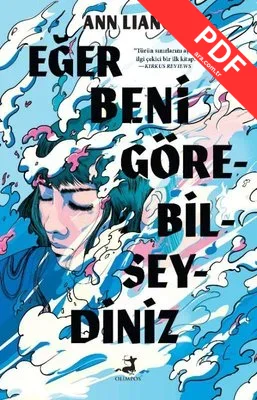 Eğer Beni Görebilseydiniz kitap kapağı