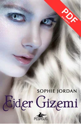 Ejder Gizemi kitap kapağı