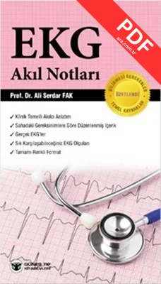 EKG - Akıl Notları kitap kapağı