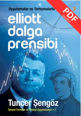 Elliott Dalga Prensibi kitap kapağı