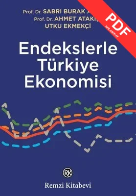 Endekslerle Türkiye Ekonomisi kitap kapağı