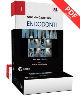 Endodonti 2 Cilt Takım kitap kapağı