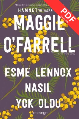 Esme Lennox Nasıl Yok Oldu kitap kapağı