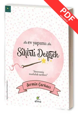 Ev Yapımı Sihirli Değnek kitap kapağı