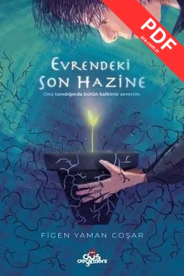 Evrendeki Son Hazine kitap kapağı
