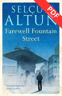 Farewell Fountain Street kitap kapağı