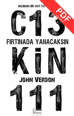 Fırtınada Yanacaksın kitap kapağı
