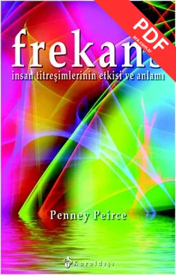 Frekans kitap kapağı