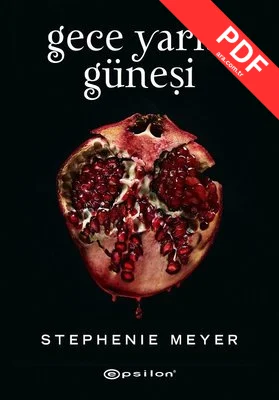 Gece Yarısı Güneşi kitap kapağı