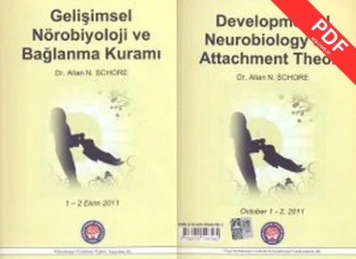 Gelişimsel Nörobiyoloji ve Bağlanma Kuramı