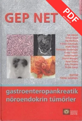 Gep Net kitap kapağı