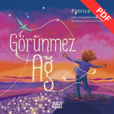 Görünmez Ağ kitap kapağı