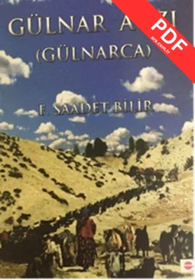 Gülnar Ağzı kitap kapağı