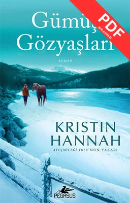 Gümüş Gözyaşları kitap kapağı