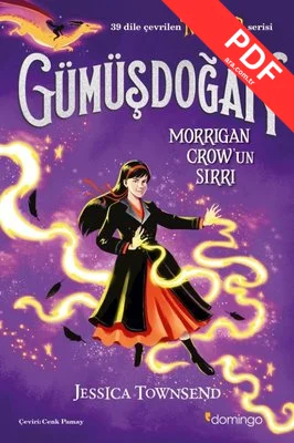 Gümüşdoğan - Nevermoor - Morrigan Crow'un Sırrı kitap kapağı
