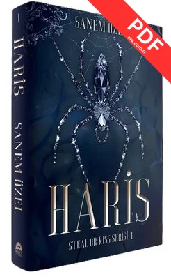 Haris - Steal or Kiss Serisi 1 kitap kapağı