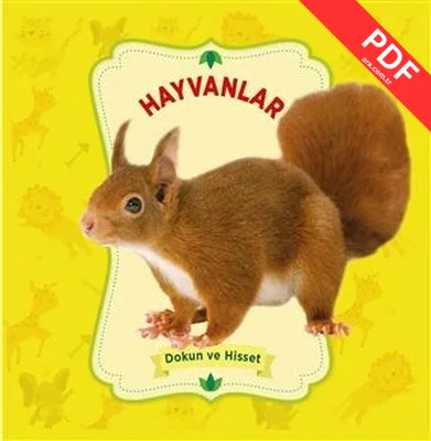 Hayvanlar - Dokun ve Hisset kitap kapağı