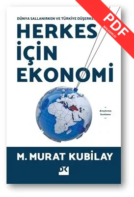 Herkes İçin Ekonomi - Dünya Sallanırken ve Türkiye Düşerken kitap kapağı