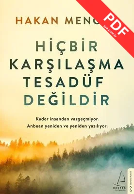 Hiçbir Karşılaşma Tesadüf Değildir kitap kapağı