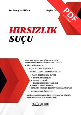 Hırsızlık Suçu kitap kapağı
