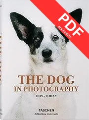 Hobby kitap kapağı