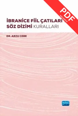 İbranice Fiil Çatıları ve Söz Dizimi Kuralları kitap kapağı