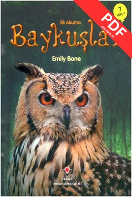 İlk Okuma - Baykuşlar kitap kapağı