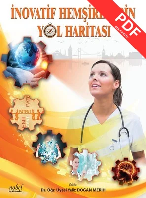 İnovatif Hemşirelerin Yol Haritası kitap kapağı