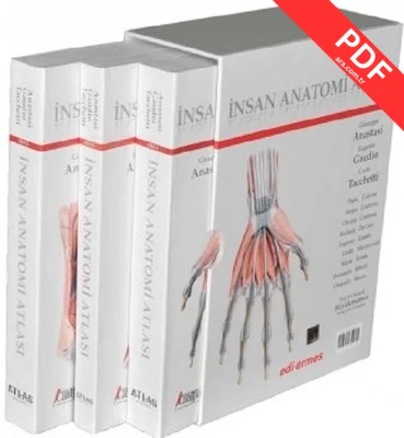 İnsan Anatomisi Atlası-3 Cilt Takım kitap kapağı