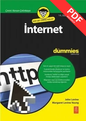 İnternet for Dummies kitap kapağı