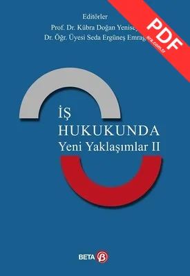 İş Hukukunda Yeni Yaklaşımlar 2 kitap kapağı