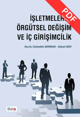 İşletmelerde Örgütsel Değişim ve İç Girişimcilik kitap kapağı
