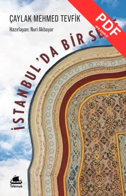 İstanbul'da Bir Sene kitap kapağı