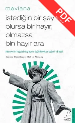İstediğin Bir Şey Olursa Bir Hayır Olmazsa Bin Hayır Ara kitap kapağı