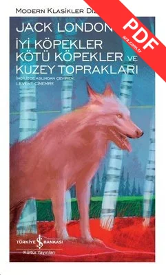 İyi Köpekler Kötü Köpekler ve Kuzey Toprakları - Modern Klasikler 199 kitap kapağı