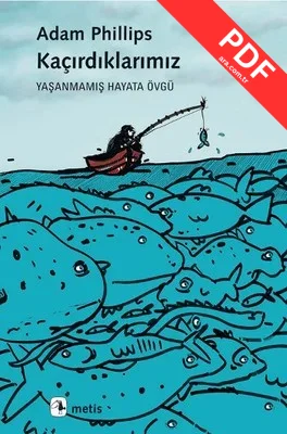 Kaçırdıklarımız kitap kapağı