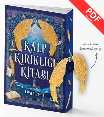 Kalp Kırıklığı Kitabı kitap kapağı